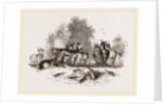 Group of Ariel Gazelles by Anonymous