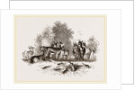 Group of Ariel Gazelles by Anonymous