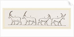 Animals from Egyptian sculptures by Anonymous
