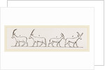Animals from Egyptian sculptures by Anonymous