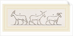 Animals from Egyptian sculptures by Anonymous