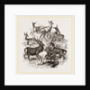 A Stag and the Roebuck by Anonymous