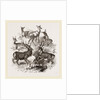 A Stag and the Roebuck by Anonymous