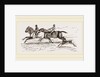 Fa1low-Deer and Horses by Anonymous