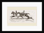 Fa1low-Deer and Horses by Anonymous