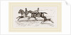 Fa1low-Deer and Horses by Anonymous