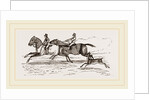 Fa1low-Deer and Horses by Anonymous