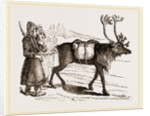 Rein-Deer and Laplanders by Anonymous