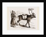 Rein-Deer and Laplanders by Anonymous