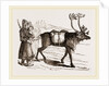 Rein-Deer and Laplanders by Anonymous