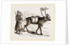 Rein-Deer and Laplanders by Anonymous