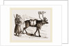 Rein-Deer and Laplanders by Anonymous