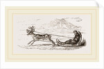 Rein-Deer harnessed to a Sledge by Anonymous