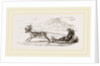 Rein-Deer harnessed to a Sledge by Anonymous