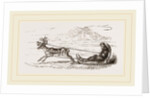 Rein-Deer harnessed to a Sledge by Anonymous