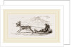 Rein-Deer harnessed to a Sledge by Anonymous