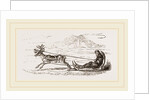 Rein-Deer harnessed to a Sledge by Anonymous