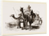 Nlounted Camels by Anonymous