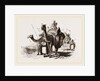 Nlounted Camels by Anonymous