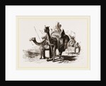 Nlounted Camels by Anonymous