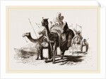 Nlounted Camels by Anonymous