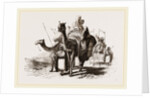 Nlounted Camels by Anonymous