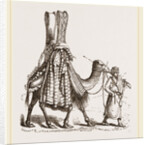 Camel carrying a Bride by Anonymous
