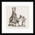 Camel carrying a Bride by Anonymous