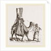 Camel carrying a Bride by Anonymous