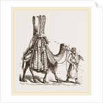 Camel carrying a Bride by Anonymous