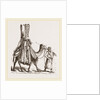 Camel carrying a Bride by Anonymous