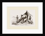 Camels watering by Anonymous