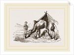 Camels watering by Anonymous