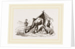 Camels watering by Anonymous