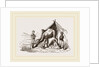 Camels watering by Anonymous