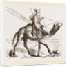 Swift Camel mounted by Anonymous