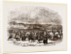 Oriental Migration by Anonymous