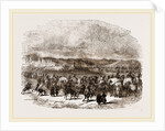 Oriental Migration by Anonymous