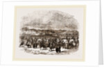 Oriental Migration by Anonymous