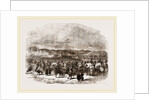 Oriental Migration by Anonymous