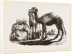 Halt of Camels by Anonymous