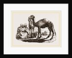Halt of Camels by Anonymous