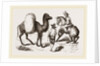 Camel and Horse by Anonymous