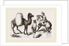 Camel and Horse by Anonymous