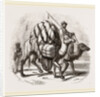 Loaded Camels by Anonymous