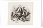 Loaded Camels by Anonymous