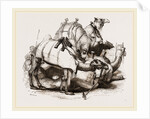 Camels tethered by Anonymous