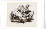 Camels tethered by Anonymous
