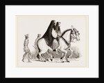 Asses by Anonymous