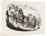 Mules by Anonymous